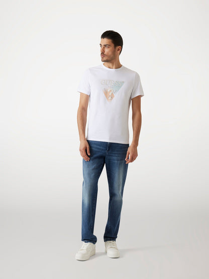 SS CN GUESS TRIANGLE