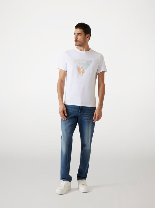 SS CN GUESS TRIANGLE